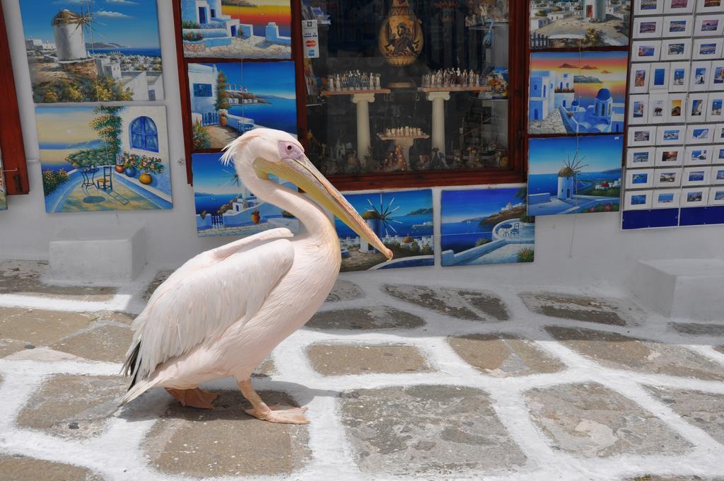 Bleland Mykonos Lägenhet Mykonos Town Exteriör bild